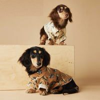 Printed Shirt Dachshund Schnauzer Teddy Bichon Maltese Clothes