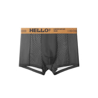 Summer Men's Ice Silk Mesh Antibacterial Breathable Underwear
