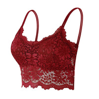 Anti-glare Lace Beautiful Back Strap Wrap Chest Underwear