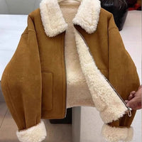 Autumn And Winter New Warm Thickened Imitation Lamb Wool Deerskin Velvet Leather Jacket