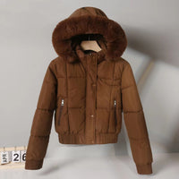 Short Cotton-padded Parka In Hong Kong And Korean Styles For Winter