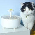 Pet Water Dispenser Automatic Loop Filtering