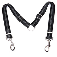 Explosion-proof double-headed pet leash