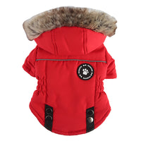 Dog Supplies Cotton Chest-Back Zip Jacket