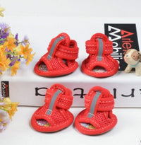 Small dog shoes
