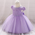 Lace Mesh Princess Tulle Tutu Dress