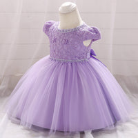 Lace Mesh Princess Tulle Tutu Dress