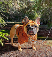 French Jarre Aero Bull Pet Fleece-lined Warm Ear-standing Sweater