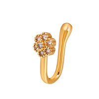 Brass Inlaid Zircon Star Heart Crown Nose Ring