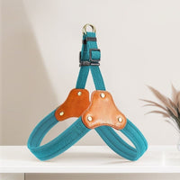 Dog Breast Collar Small Dog Bichon Dog Hand Holding Rope