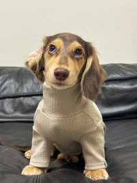 Pet Clothing Autumnwinter High-neck Base Vest