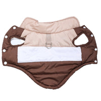 Dog Autumnwinter Coat With A Leash