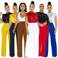 Fashionable Straight-leg Pants With A Back Zipper