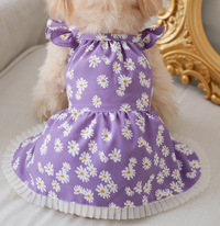 Pet Dress-Little Daisies-Light Green-XXL-Polyester-1 piece