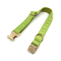 Simple Matcha Green Velvet Dog Collar