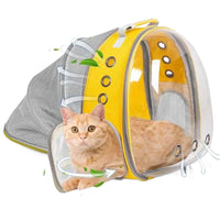 Rear Expandable Transparent Mesh Pet Backpack