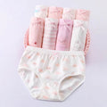 Children's Underwear Women's Triangle Cotton Boxer