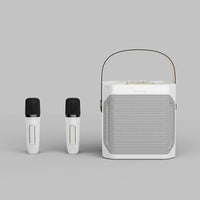 Dual Stereo Portable Karaoke