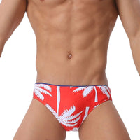 Men's Fashion Casual Quick-drying Swim Briefs