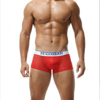 Striped Transparent Sexy Underwear Boxers