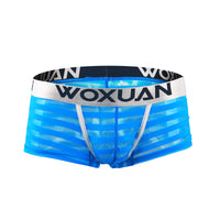 Men's Transparent Underwear Striped Boxers