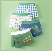 Boy Pure Cotton Boxer Brief