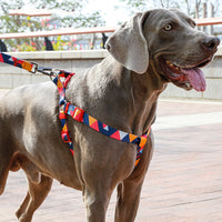 Pet leash collar