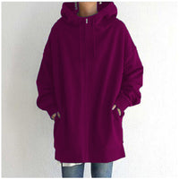 New Stylish Streetwear Long Fleece-lined Hoodie With A Zipper And Hood