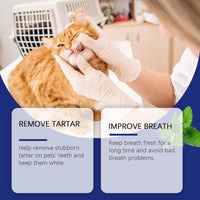 Pet Teeth Cleaning And Stain Removal