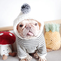 Pet Dog Lamb Velvet Striped Knitted Hooded Sweater