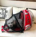 Cat backpack transparent space capsule