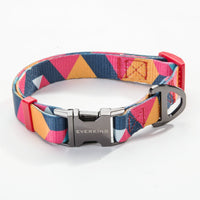 Pet leash collar