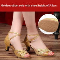 Womens Faux Suede Latin Dance Shoes