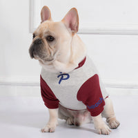 Casual Teddy Dog Sweatshirt