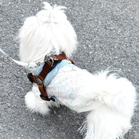 Dog Leash Vest Style Pet Chest Harness For Small And Medium-sized Dogs