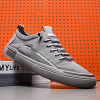 New Summer Breathable Board Shoes Ice Silk Cloth Shoes