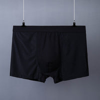 Men's Boxer Plus Size Ice Silk See Through Breathable Mesh Thin Boxer Shorts