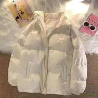 Men's Fashion Stand-up Collar Winter Coat