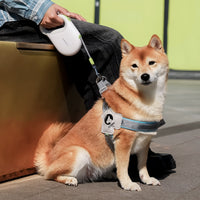 Pet Hand Holding Rope Retractable And Controllable Safe And Explosion Protective