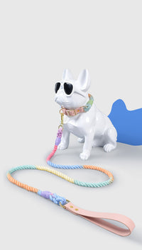 Rainbow Traction Rope Collar Adjustable Medium And Large Dog Outing Chain