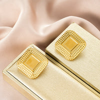 Premium Fashion Irregular Earrings, High-End Unique Niche Design, Stainless Steel Earrings Jewelry For Women