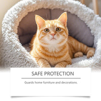 Cat Training Spray