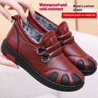 Winter Plus Velvet Warm Shoes Women