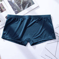 Men's Ice Silk Thin Transparent Boxer Briefs