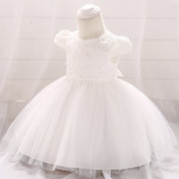 Lace Mesh Princess Tulle Tutu Dress