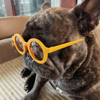 New Fashion Pet Sunglasses Round Frame