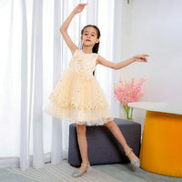Children's Beaded Mesh Lace Tutu Skirt