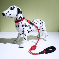 New Model Reflective Collar For Pet Dogs, With A Decorative Necklace And A Leash.