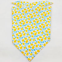 Fruit Green Leaf Pet Scarf Drool Towel