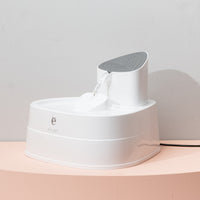 Electric circulating water dispenser